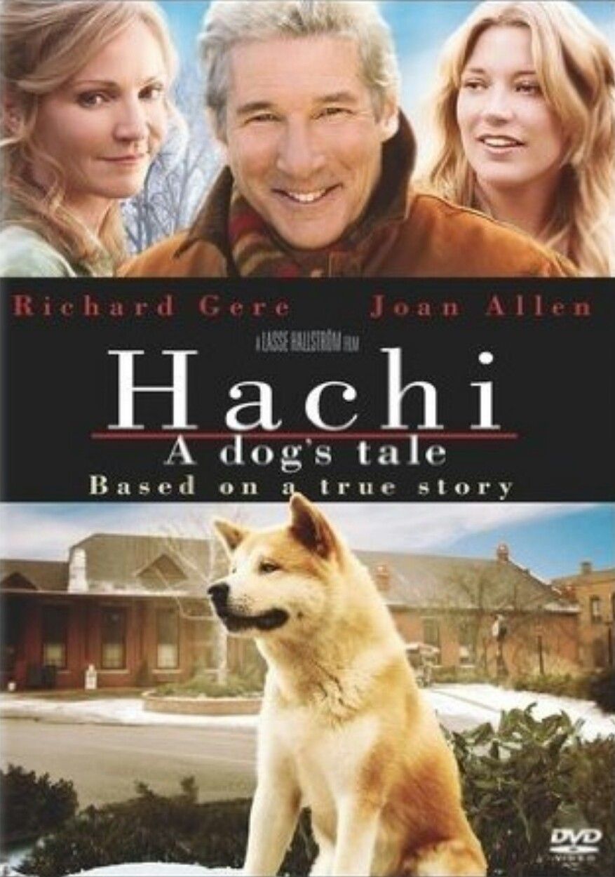 Hachi A Dog